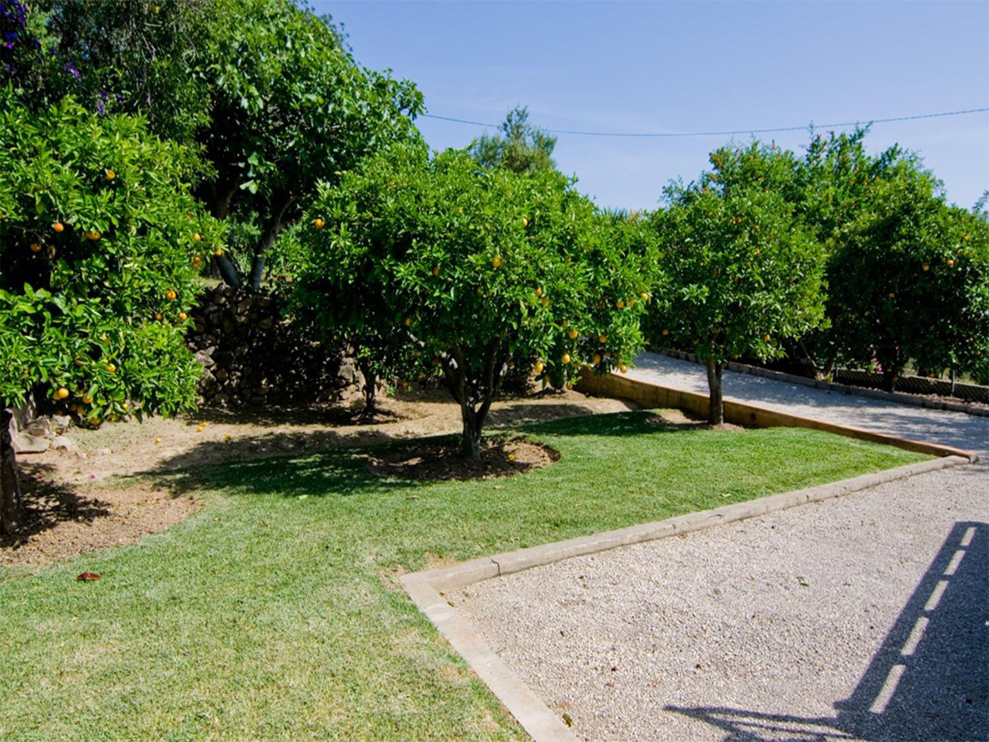 Villa Oliandra Vilamoura